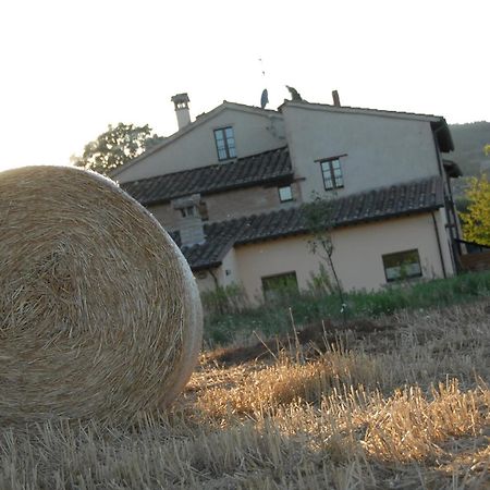 Molenda B&B Città di Castello Exterior foto