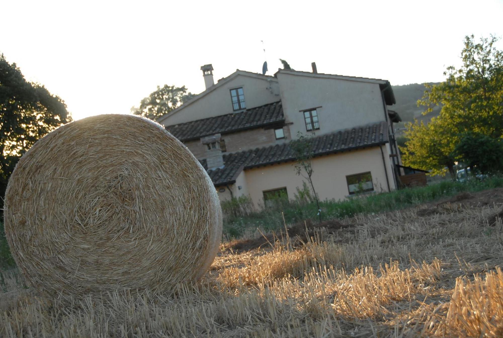 Molenda B&B Città di Castello Exterior foto